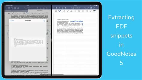 how to convert snippet to pdf