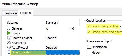 how to copy and paste from vmware to windows