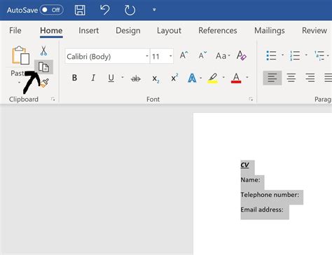 how to copy and paste text and images in word