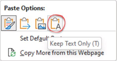 how to copy and paste text only in word