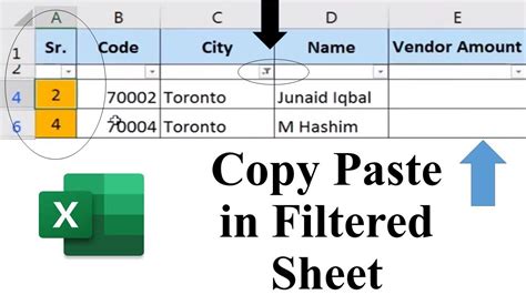 how to copy data in excel when filter is applied