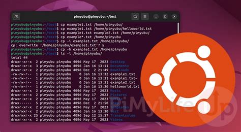 how to copy files from ubuntu to local machine