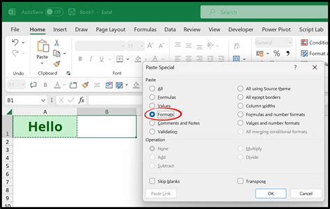 how to copy format in excel sheet