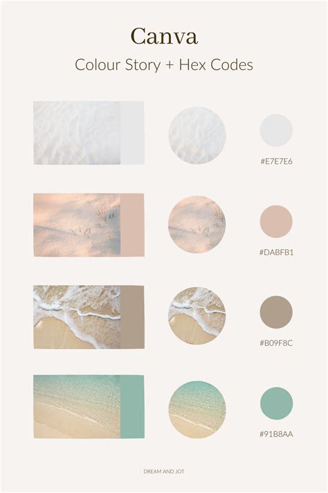 how to copy paste color palette in canva