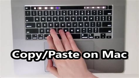 how to copy paste text in mac book