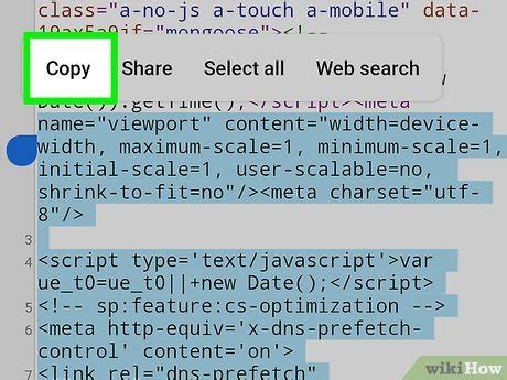 how to copy source code of a website