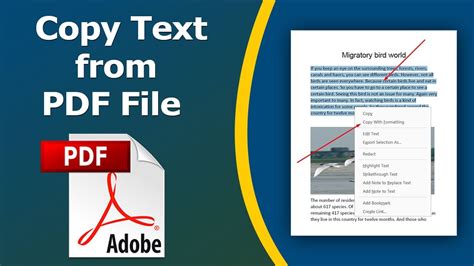 how to copy text from pdf without formatting