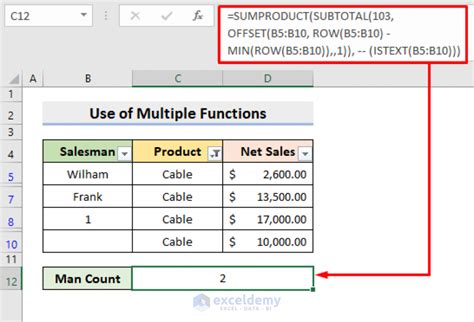 how to count text in excel with filter