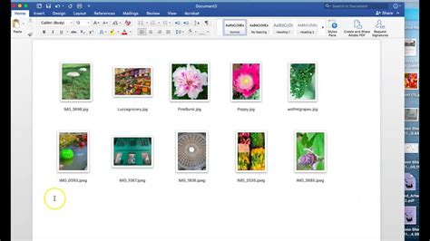 how to create a contact sheet in microsoft word