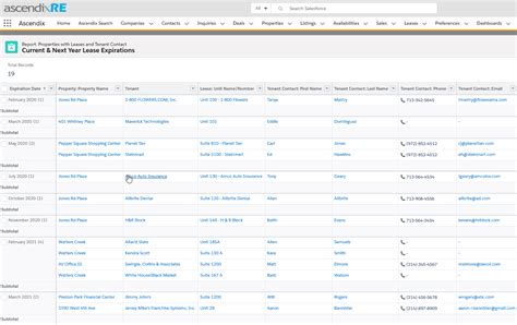 how to create a daily activity report in salesforce