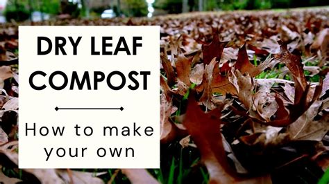 how to create leaf compost