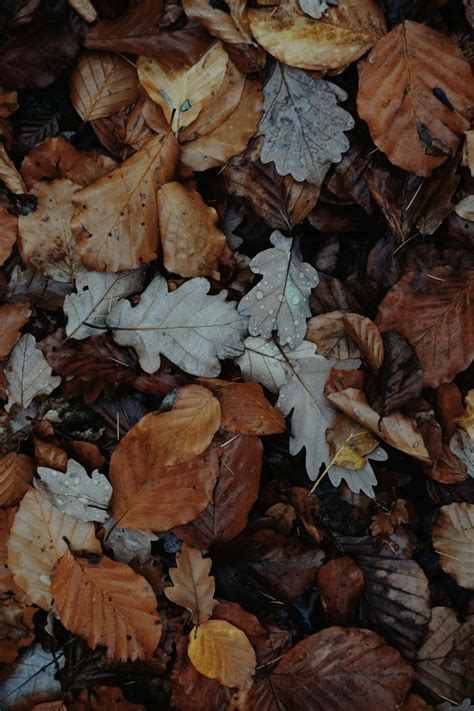 how to create leaf mulch