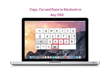 how to cut and paste text on macbook