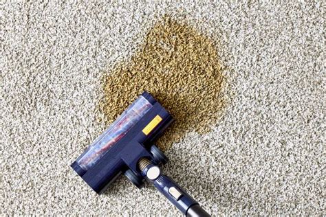 how to deep clean carpet