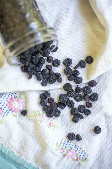 how to dehydrate berries without a dehydrator