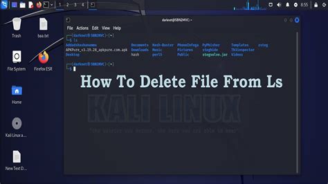 how to delete a root folder in kali linux