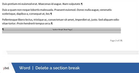 how to delete a section break in word 2010 without losing formatting