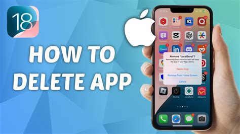 how to delete app data on ios 18