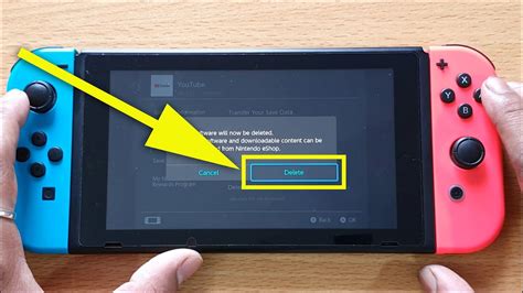 how to delete everything on nintendo switch lite