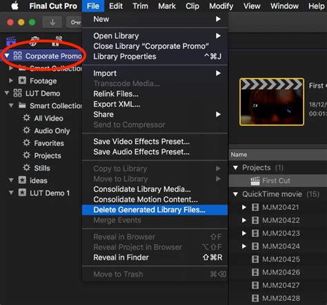 how to delete final cut pro projects