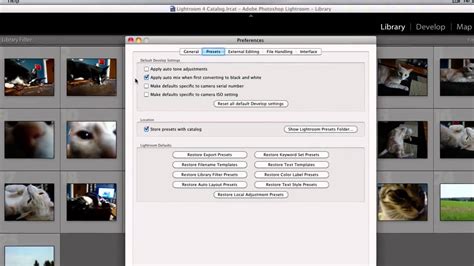 how to delete multiple presets in lightroom mobile