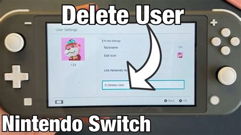 how to delete user from nintendo switch lite