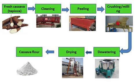 how to design a flow chart for processing of cassava