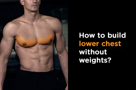 how to develop chest muscles without weights