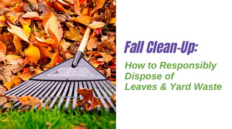 how to dispose of leaves in.your yard