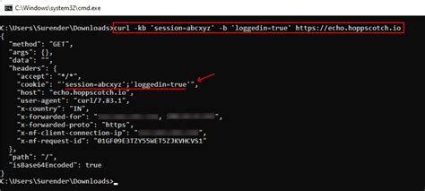 how to do curl command windows