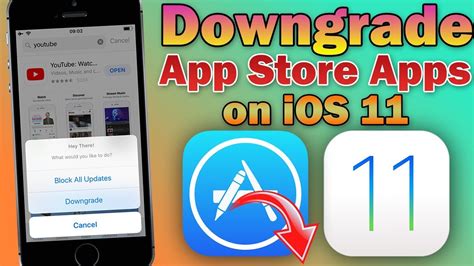 how to downgrade apps on ios