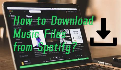 how to download music files off spotify