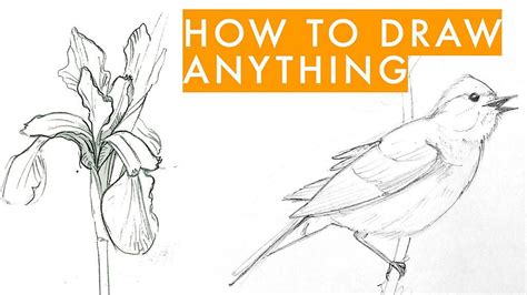 how to draw a anything