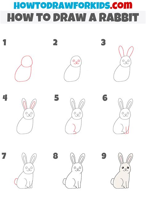 how to draw a bunny rabbit step by step