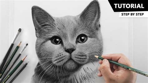 how to draw a cat realistic with pencil