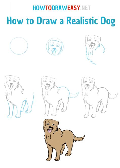 how to draw a dog realistic easy step by step