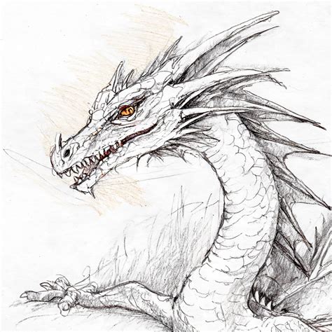 how to draw a dragon step by step for beginners