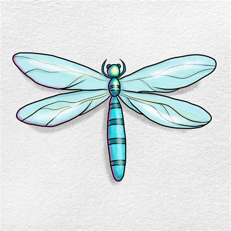 how to draw a dragonfly flying