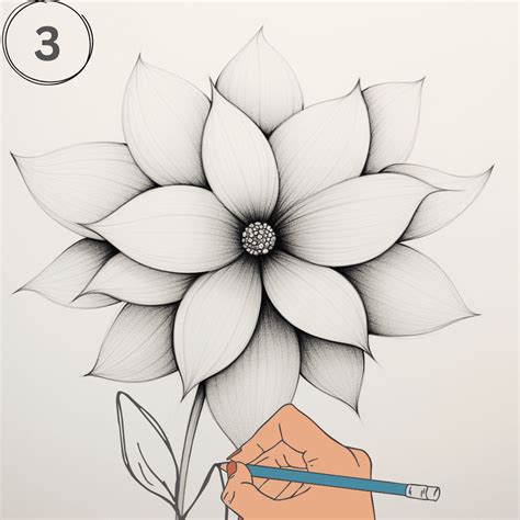 how to draw a flower in pencil for beginners