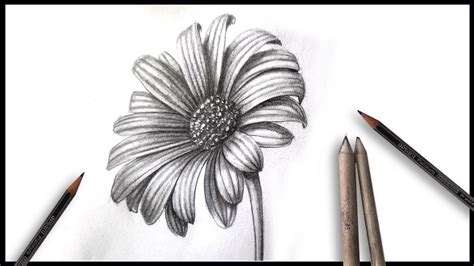 how to draw a flower in pencil realistic