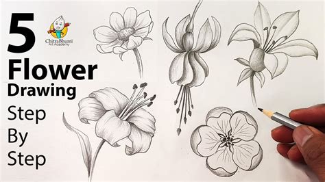 how to draw a flower in pencil step by step