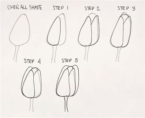 how to draw a flower step by step in 6 minutes