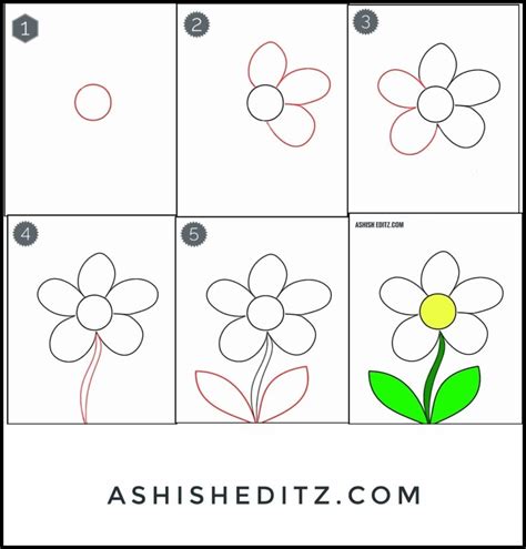how to draw a flower step by step with pencil
