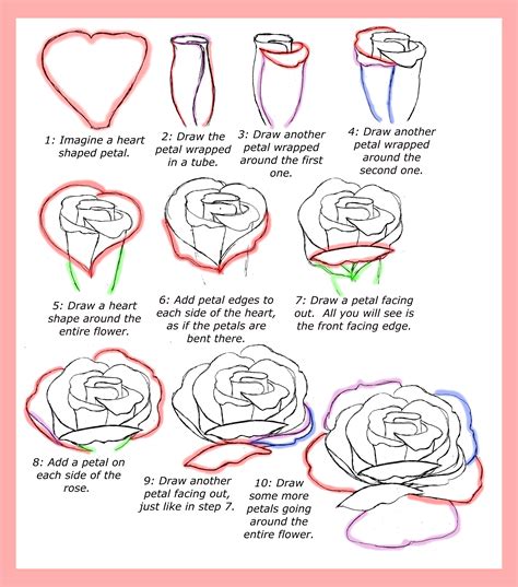 how to draw a rose with petals step by step