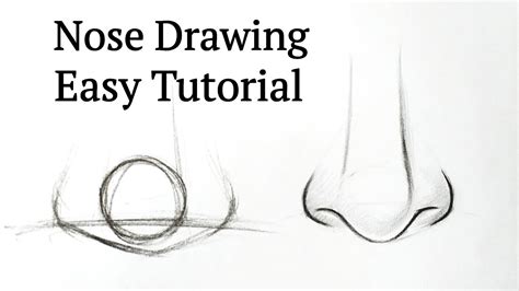 how to draw a simple nose for beginners
