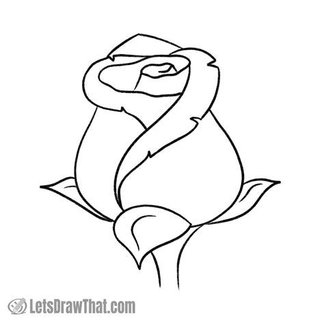 how to draw a simple rose outline