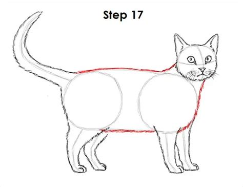 how to draw a tabby cat step by step