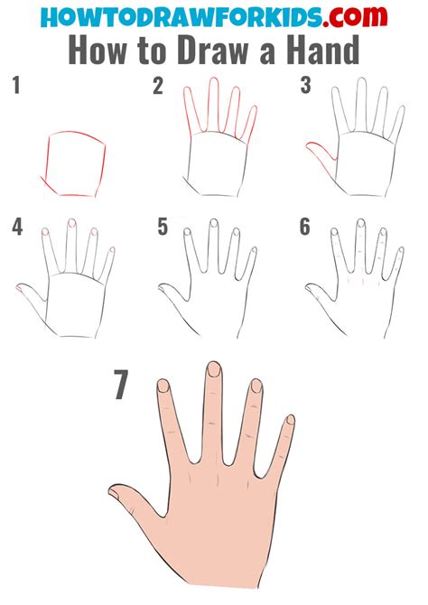 how to draw hands easy step by step