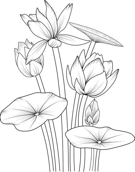 how to draw in black and white