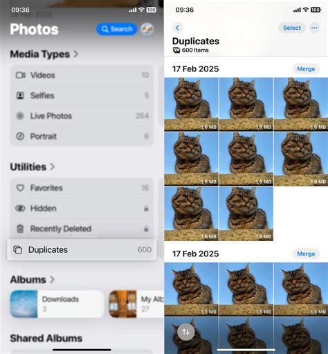 how to duplicate apps on iphone ios 18